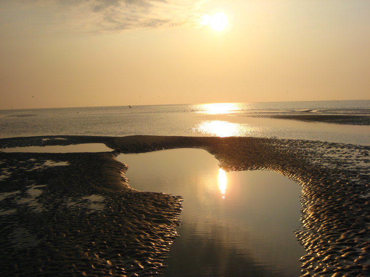 Leren varen op het Wad met getij en stroming